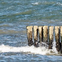 A2260989_DxO