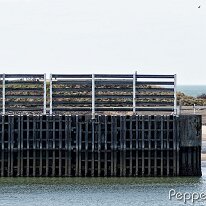 A3161001_DxO