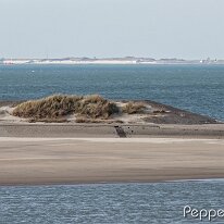 A3161002_DxO