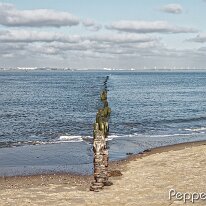 B2000018_DxO