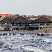 12050075_DxO