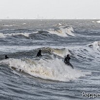 12050076_DxO