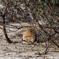 AB250114_DxO