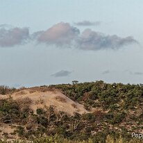 AB250115_DxO