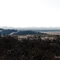 B2000135_DxO