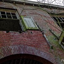 2016_03_11_9637_DxO