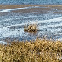 A1110281_DxO