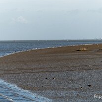 A1110284_DxO