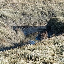 A1110291_DxO