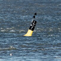 A1080250_DxO