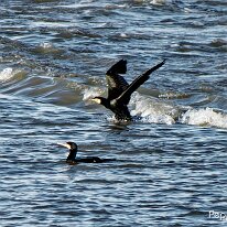 A1080258_DxO