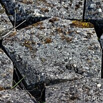 A4051096_DxO