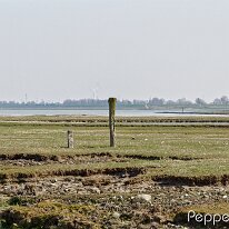 A4051098_DxO
