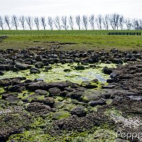 B2000888_DxO