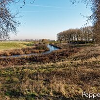 B2000060_DxO
