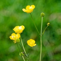 B2001507_DxO