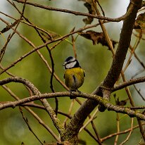 B2001516_DxO