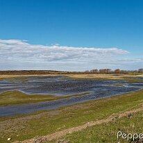 B2000864_DxO