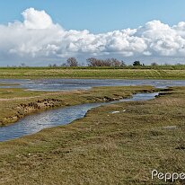B2000865_DxO