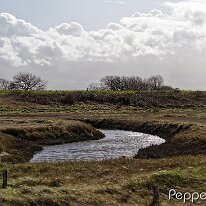 B2000868_DxO