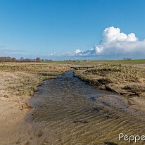 B2000869_DxO