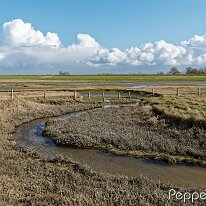 B2000871_DxO