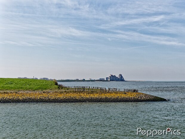 Nummer één Voorland Nummer één © Pepperpics / Bram Bonnewel