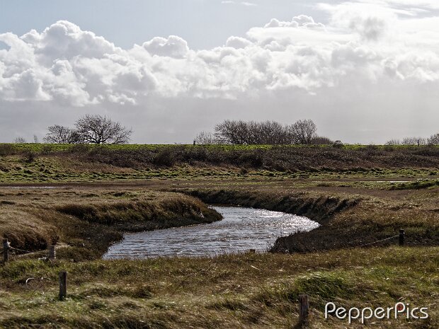 Zwarte Polder Foto's gemaakt in Verdronken land de Zwarte Polder bij Nieuwvliet-Bad © Pepperpics / Bram Bonnewel